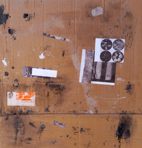 Flavio Falena Untitled