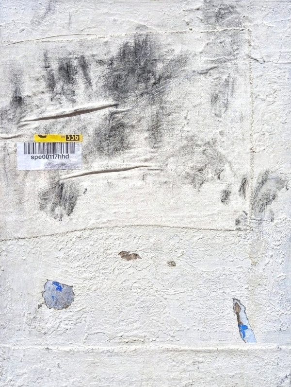 Flavio Falena Untitled
